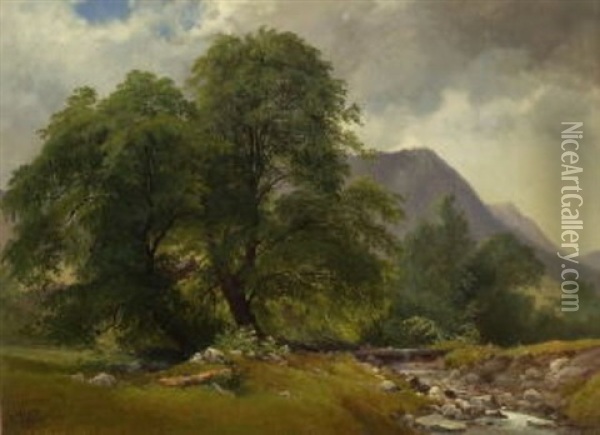 Hohe Baume Am Bachufer Oil Painting - Carl Geyling