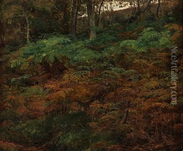 Ferns On The Forest Floor Oil Painting - Janus la Cour