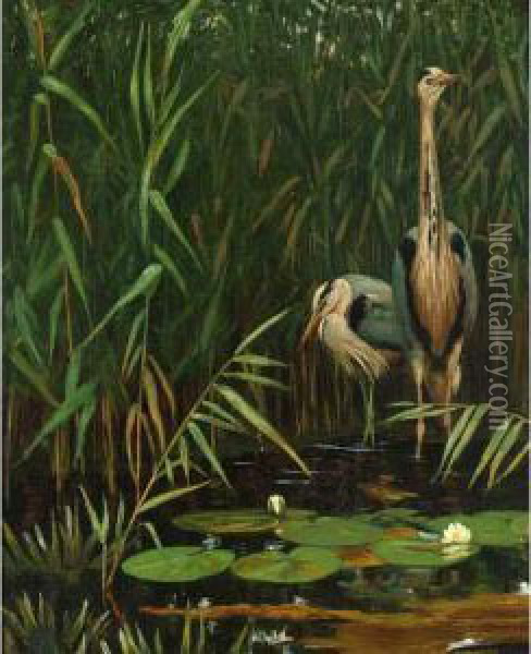 Two Herons Near The Waterfront Oil Painting - August Le Gras