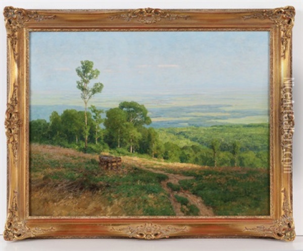 Sommerliche Landschaft Mit Blick In Die Mainebene Oil Painting - Nelson Gray Kinsley