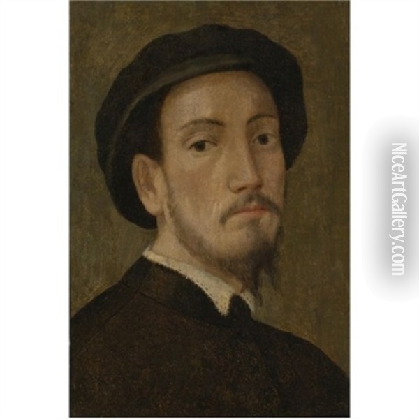 Portrait Of A Man Oil Painting - Pier Francesco Di Jacopo Foschi