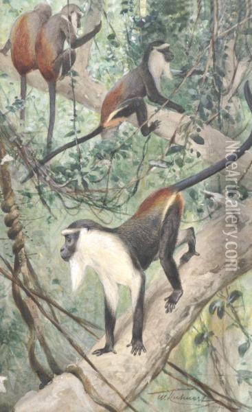 Colobus Monkeys Oil Painting - Wilhelm Kuhnert