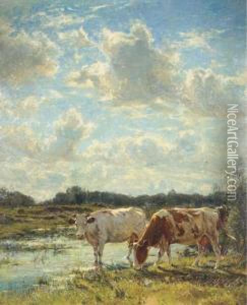 Bords De La Zan (matin); Cows By The Zaan, Holland Oil Painting - Frans Courtens