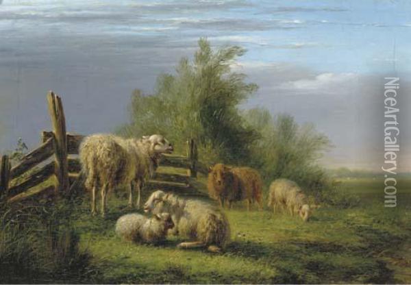 Sheep In A Pasture Oil Painting - Bernardus Gerardus Ten Berge