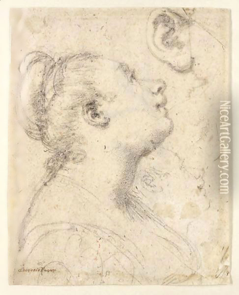 Study Of The Head And Shoulders Of A Woman In Profile And Separate Studies Of Her Head And Ear Oil Painting - Gregorio Pagani