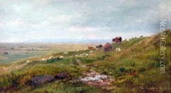 Cattle And Sheep In Hilly Landscape Oil Painting - William Snr Luker