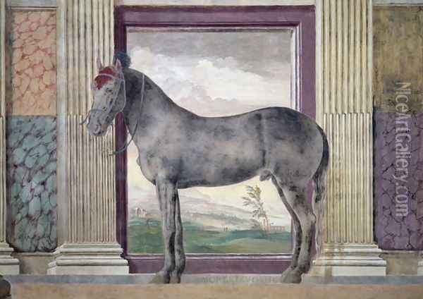 Sala dei Cavalli, detail showing a portrait of Morel Favorito, a horse from the stables of Ludovico Gonzaga III of Mantua, 1528 Oil Painting - Giulio Romano (Orbetto)