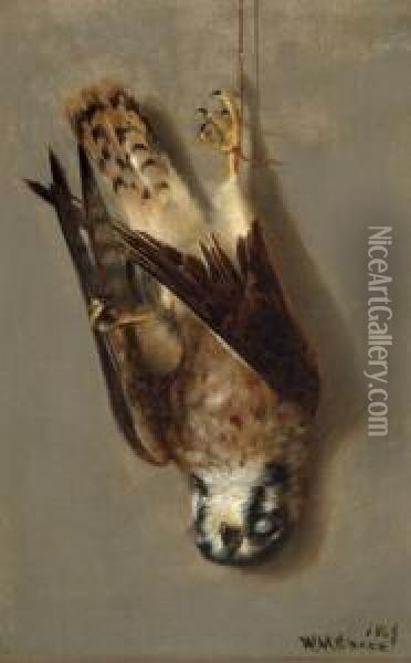 Sparrow Hawk Oil Painting - William Merritt Chase