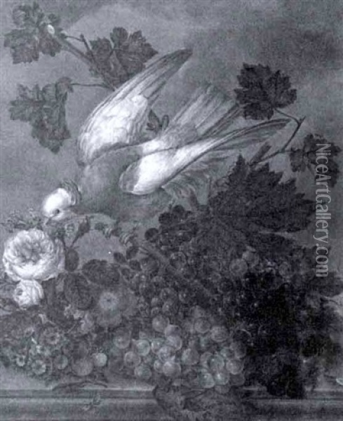 A Bird With Flowers And Fruit On A Ledge Oil Painting - Anton Fidler