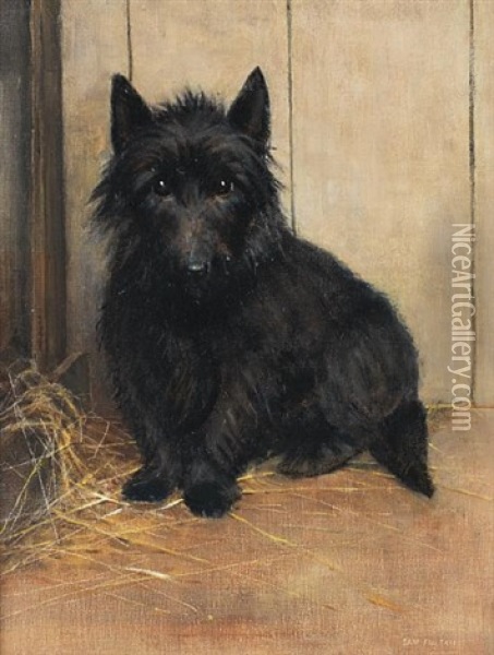 A Terrier (study) Oil Painting - Samuel Fulton