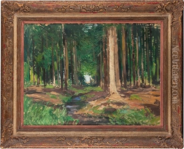Forest Interior Oil Painting - Gustav Macoun