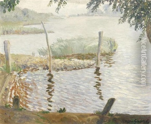 Sommeridylle. Blick Vom Ufer Auf Einen Von Schilf Gesaumten Stillen See Oil Painting - Ernst Mueller-Scheessel