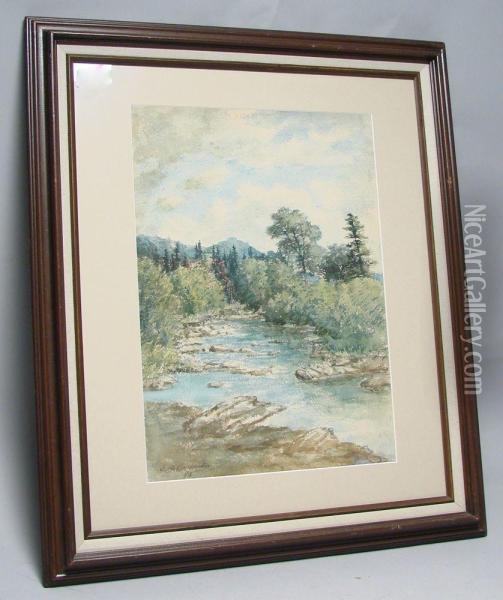Mountain Stream. Oil Painting - Eileen Carpenter