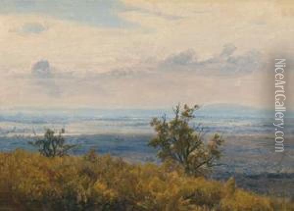 Attributed Danube Landscape Oil Painting - Friedrich Loos