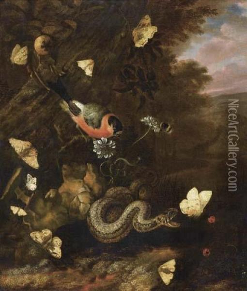 Forest Still Life With Snake, Butterflies, Bumble Bee And Bird. Oil Painting - Otto Marseus Snuff. Van Schrieck