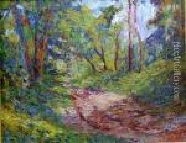 Sunlit Pathway Oil Painting - Francis Norton Johnson