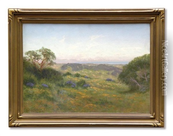 Hillsides Of Marin, Poppy Time Oil Painting - Charles Dorman Robinson