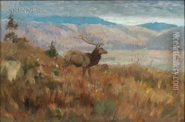 Elk In Grassy Highlands, Autumn Oil Painting - Edwin Willard Deming