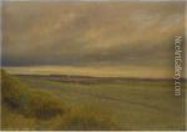 The Field Oil Painting - Isaak Ilyich Levitan
