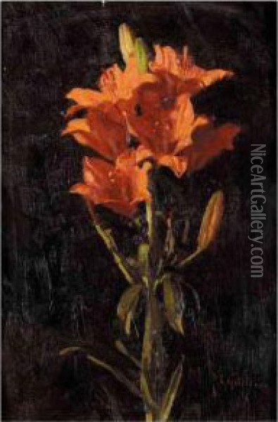 Study Of Lilies Oil Painting - Thomas Cooper Gotch
