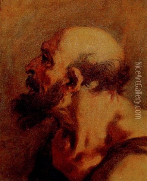 Head Of A Bearded Man Oil Painting - Sebastiano Ricci