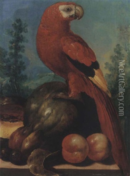 Still Life Of A Macaw Together With Melons, Peaches, And Plums On A Stone Ledge, A Wooded Landscape Beyond Oil Painting - Roelandt Savery