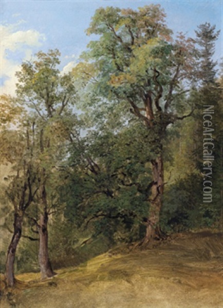 Waldstudie Oil Painting - Friedrich Gauermann