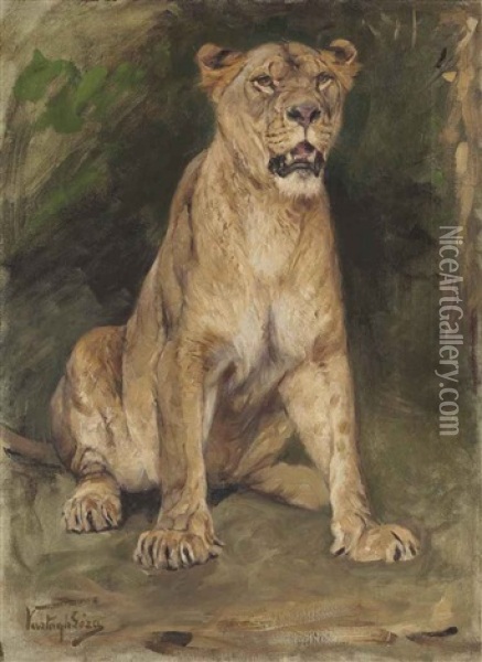 A Seated Lioness Oil Painting - Geza Vastagh
