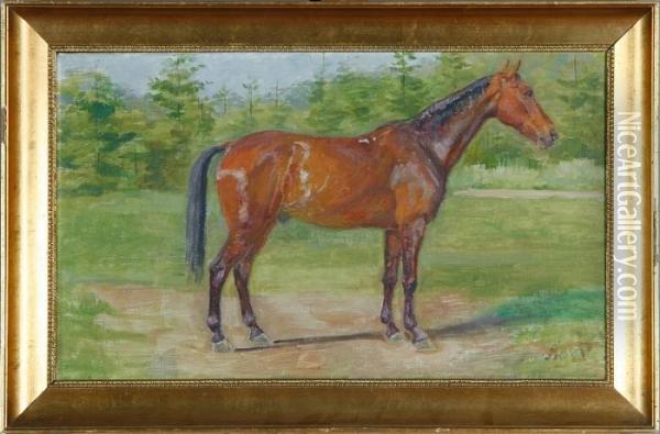 A Grazing Horse Oil Painting - Agnes Lunn