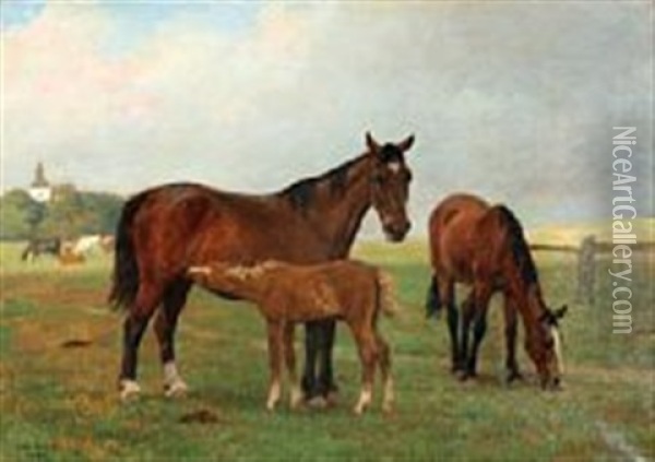 Horses On A Field Oil Painting - Otto Bache