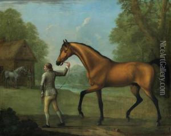 Brilliant, William Croft's Dun Stallion, Being Led Towards Amare Oil Painting - William Shaw