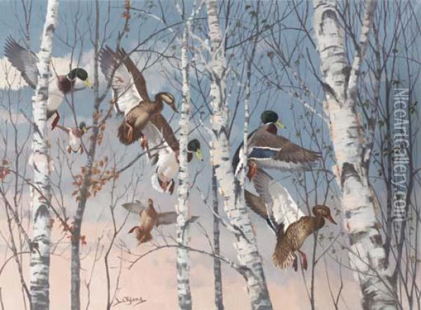 Through The Birch - Mallards Oil Painting - Maurice Le Blanc