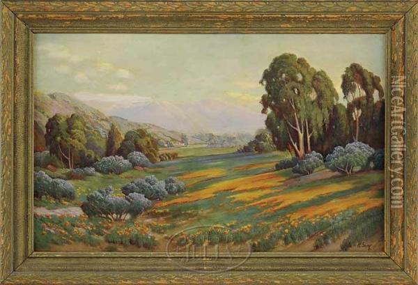 California Poppies And Wild Lilac Near Lompoc, California Oil Painting - Una Gray