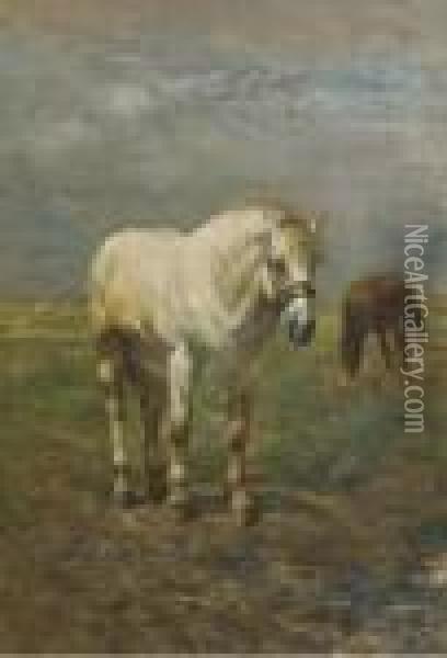 Horses In A Meadow Oil Painting - Alfred Jacques Verwee