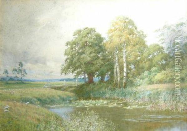 Lilly Pond In A Meadow Oil Painting - Peter Ghent