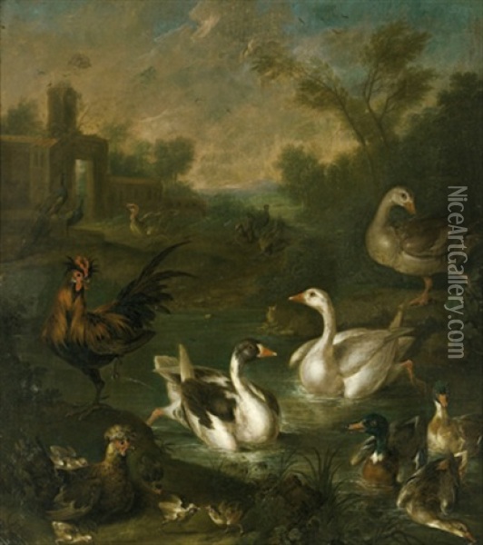 Parklandschaft Mit Schwanen, Enten Und Huhnern Oil Painting - Johann Georg de Hamilton