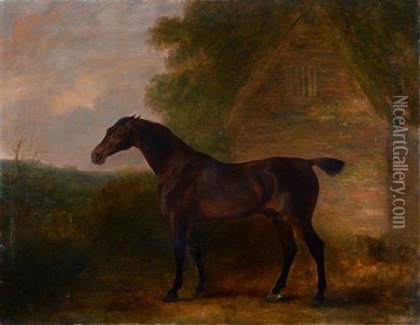 Thalaba - A Bay Hunter By A Stable Oil Painting - John E. Ferneley