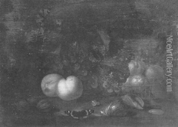 A Still Life Of Fruit And Shells Arranged On A Ledge Oil Painting - Abraham Van Calraet