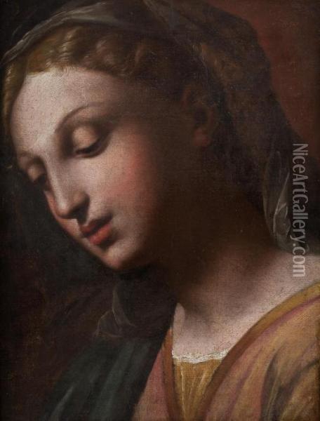 Profilo Della Vergine Oil Painting - Raphael (Raffaello Sanzio of Urbino)