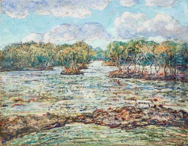 Mangrove Trees, The Florida Everglades, C. 1938 Oil Painting - Ernest Lawson