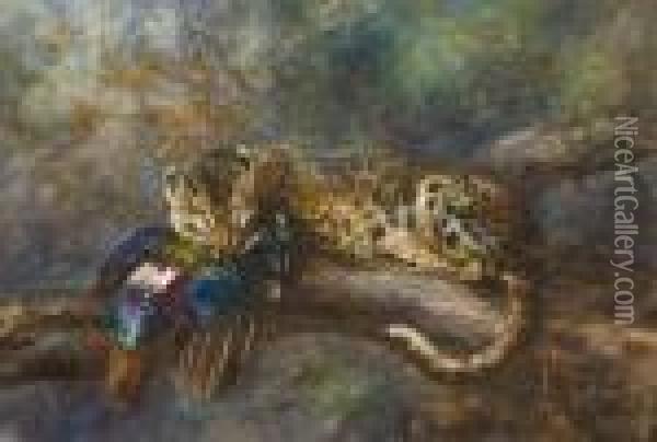 An Himalayan Leopard With Its Prey Oil Painting - Cuthbert Edmund Swan