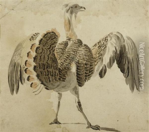 Turkey Oil Painting - Jean-Baptiste Oudry