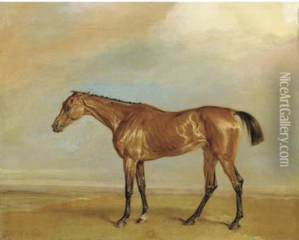 The Marquess Of Exeter's Augusta, At Newmarket Oil Painting - James Ward