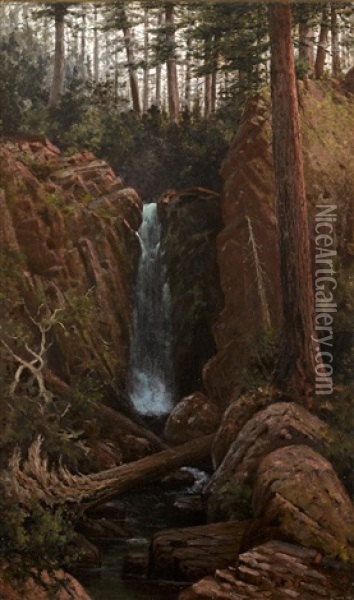 Waterfall In A Forest Interior Oil Painting - Grafton Tyler Brown