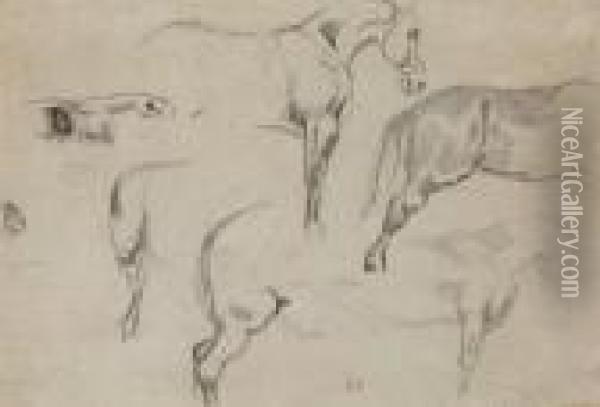 Studies Of A Horse Oil Painting - Eugene Delacroix