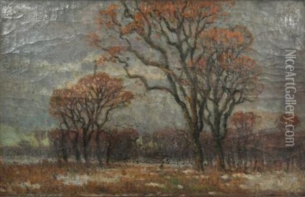 Landscape With Trees Oil Painting - Istvan Bosznay