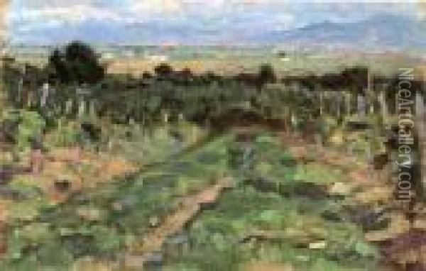 Panorama A Fauglia Oil Painting - Luigi Gioli