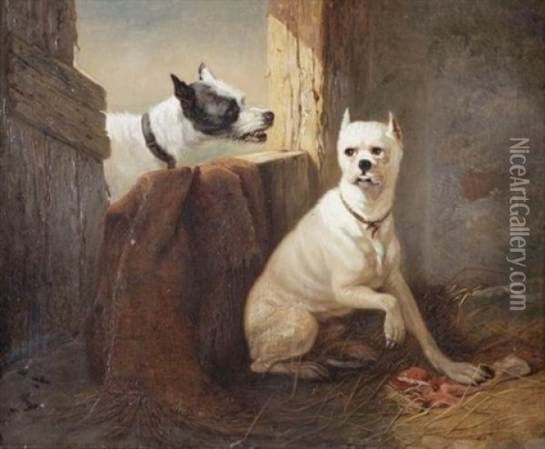 2 Chiens Oil Painting - Zacharias Noterman