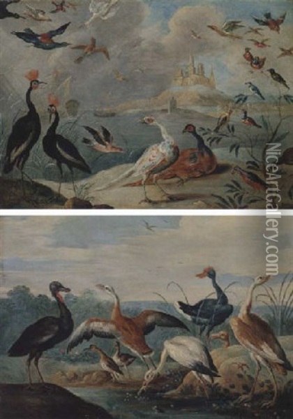 Pheasants And Various Other Fowl In A Coastal Landscape Oil Painting - Jan van Kessel the Elder