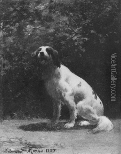 Portrait Of A Dog Oil Painting - Edward Moran